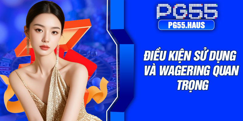 Điều kiện sử dụng và wagering quan trọng
