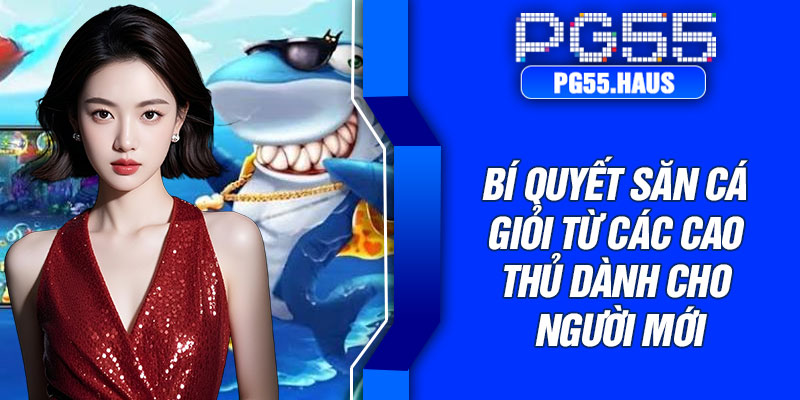 Bí quyết săn cá giỏi từ các cao thủ dành cho người mới