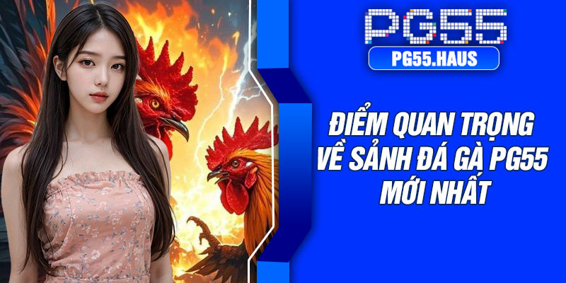 Điểm quan trọng về sảnh đá gà PG55 mới nhất