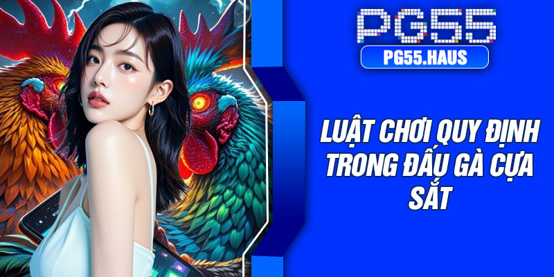 Luật chơi quy định trong đấu gà cựa sắt